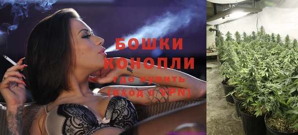 каннабис Белокуриха