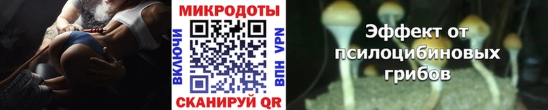 Галлюциногенные грибы MAGIC MUSHROOMS  даркнет состав  Бокситогорск  дарнет шоп 