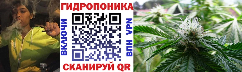 мориарти клад Бокситогорск МАРИХУАНА план